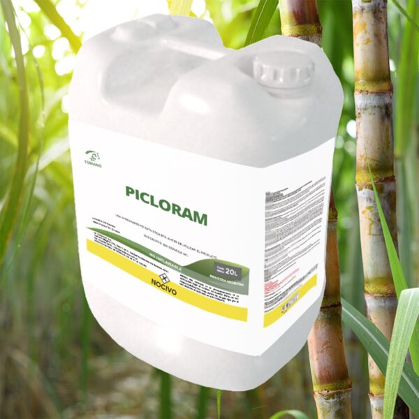 Picloram