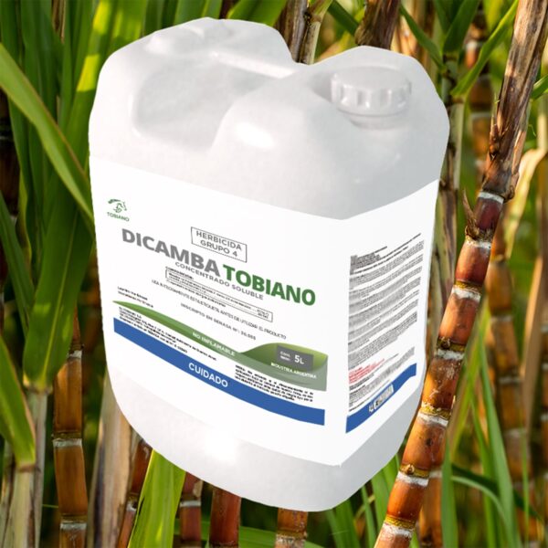 Dicamba