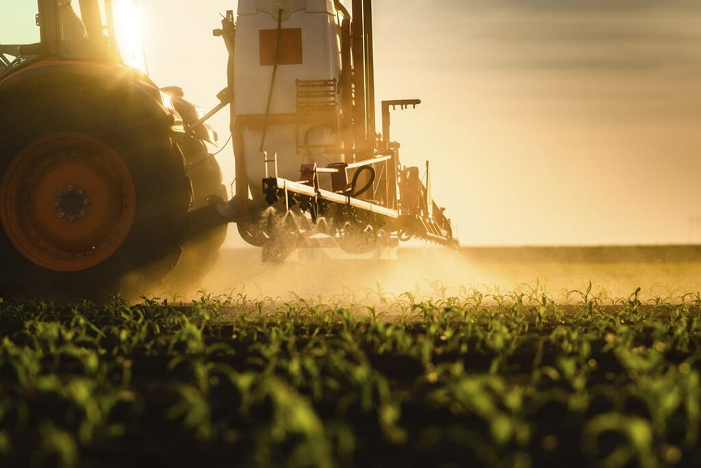 En una campaña marcada por la variabilidad climática, elegir el momento adecuado para aplicar un herbicida puede definir el éxito o el fracaso del tratamiento
