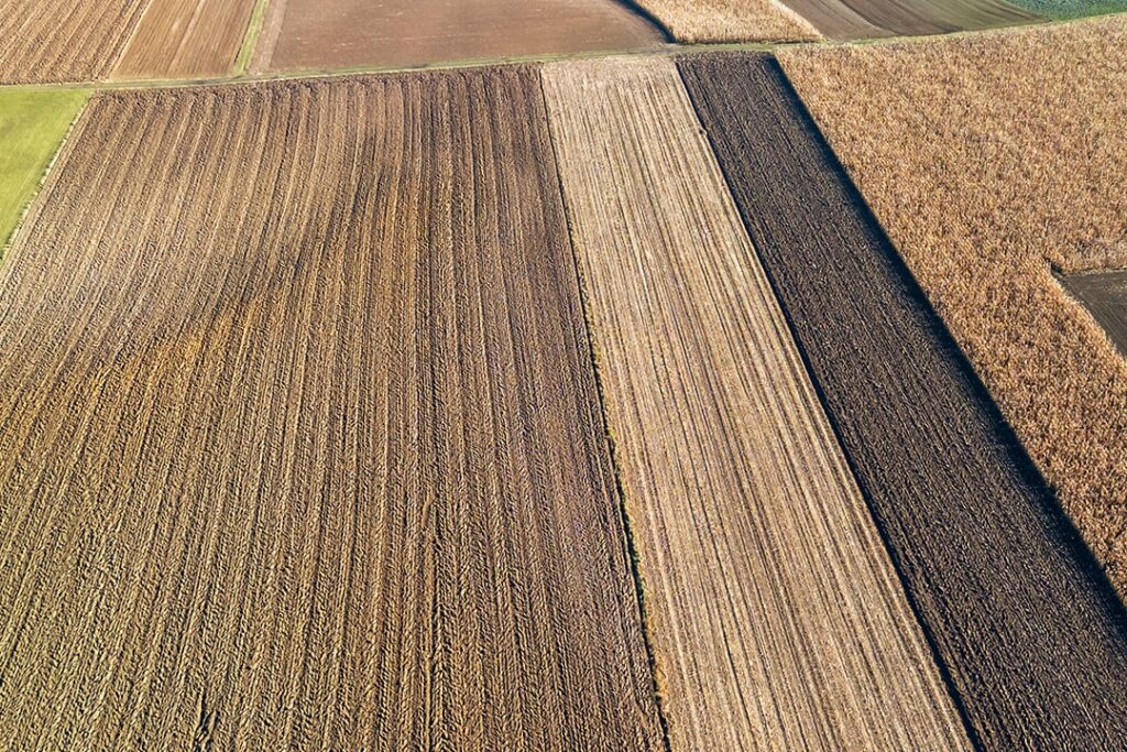 En zonas donde Amaranthus complica el arranque, sumar Sulfentrazone ayuda a anticiparse a nacimientos tempranos y sostener un arranque más estable.